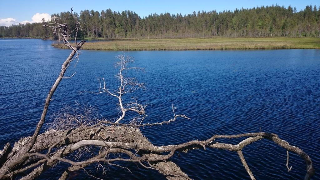 Vakantiehuis Lillstugan I Sverige Villa Gustavsstrom Екстериор снимка